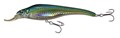 Sebile Acast Minnow 165 MR - Floating