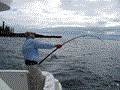 Ripple Fisher - GT78 Flex