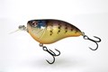 Sebile Crankster 65 MR - Floating