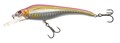 Sebile Acast Minnow 125 SL - Floating